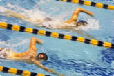 competitive swimming picture